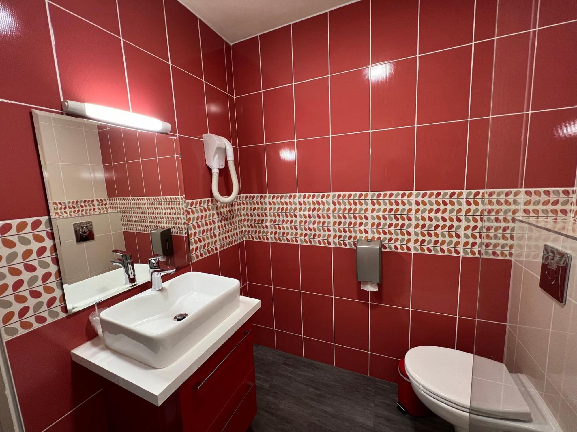 Brit Hotel Du Parc Niort Centre-Parking Gratuit Zewnętrze zdjęcie